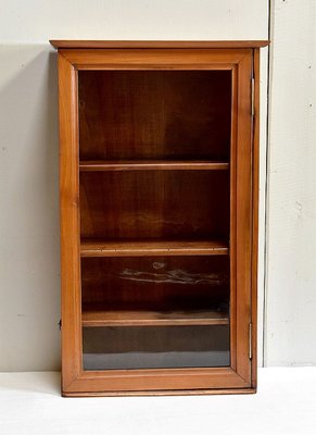 Small 19th Century Birch Wall Display Cabinet-RVK-731687