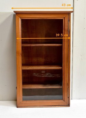 Small 19th Century Birch Wall Display Cabinet-RVK-731687