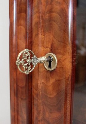 Small 19th Century Burl Veneer and Mahogany Display Cabinet-RVK-708990