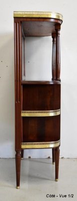 Small 19th Century Mahogany Cabinet-RVK-891314