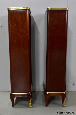 Small 19th Century Mahogany Cabinets by Paul Sormani, Set of 2-RVK-803541