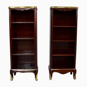 Small 19th Century Mahogany Cabinets by Paul Sormani, Set of 2-RVK-803541