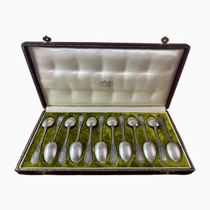 Small Antique Spoons, 1900, Set of 12-BFK-2040210