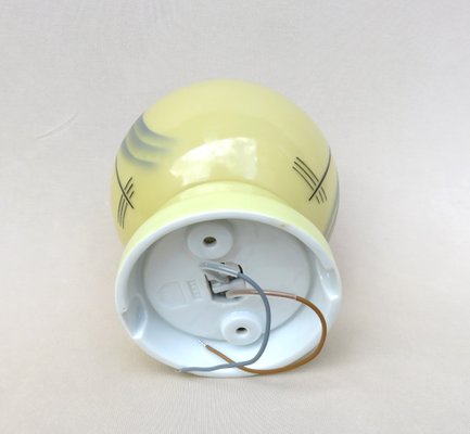 Small Art Deco Porcelain Ceiling Light-EY-1000593