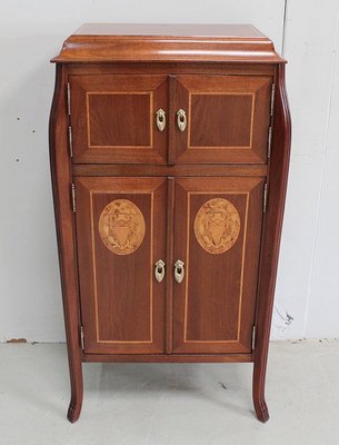 Small Art Nouveau Cabinet in Mahogany and Precious Wood, Early 20th Century-RVK-940947