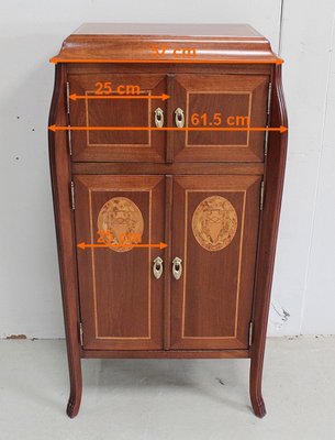 Small Art Nouveau Cabinet in Mahogany and Precious Wood, Early 20th Century-RVK-940947