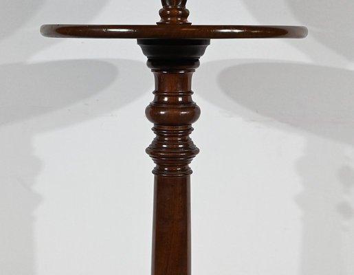 Small Barbone in Mahogany-RVK-1805116