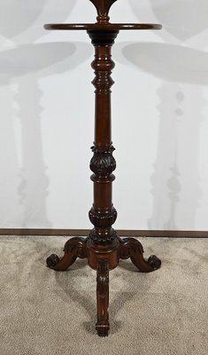 Small Barbone in Mahogany-RVK-1805116