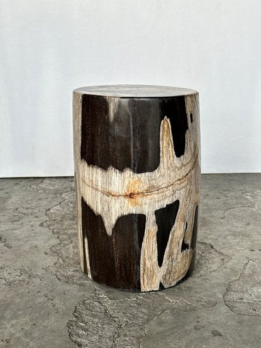 Small Black, White and Gray Petrified Wood Side Table