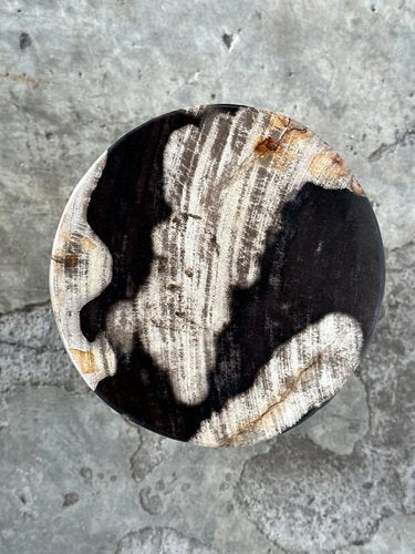 Small Black, White and Gray Petrified Wood Side Table