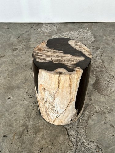 Small Black, White and Gray Petrified Wood Side Table