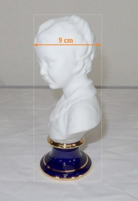 Small Bust of Alexandre Brongniart in Biscuit Porcelain in the style of J.A. Houdon-RVK-1153847