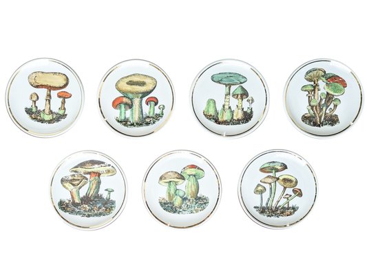 Small Ceramic Coaster with Mushrooms by Bucciarelli, Milano, 1950s, Set of 7-RD-2032118