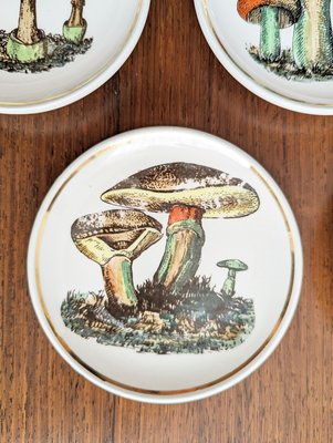 Small Ceramic Coaster with Mushrooms by Bucciarelli, Milano, 1950s, Set of 7-RD-2032118