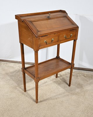 Small Early 19th Century Louis XVI Slope Desk-RVK-1787527