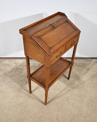 Small Early 19th Century Louis XVI Slope Desk-RVK-1787527