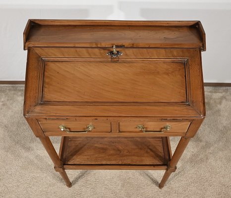 Small Early 19th Century Louis XVI Slope Desk-RVK-1787527