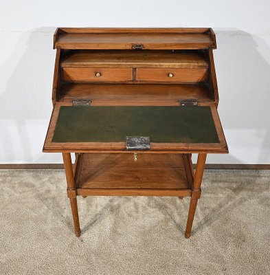 Small Early 19th Century Louis XVI Slope Desk-RVK-1787527