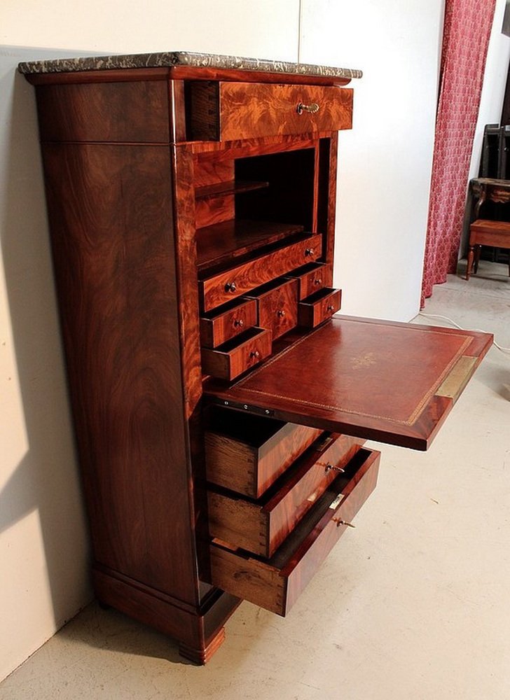 Small Early 19th Century Restoration Era Secretaire in Mahogany Burl Veneer