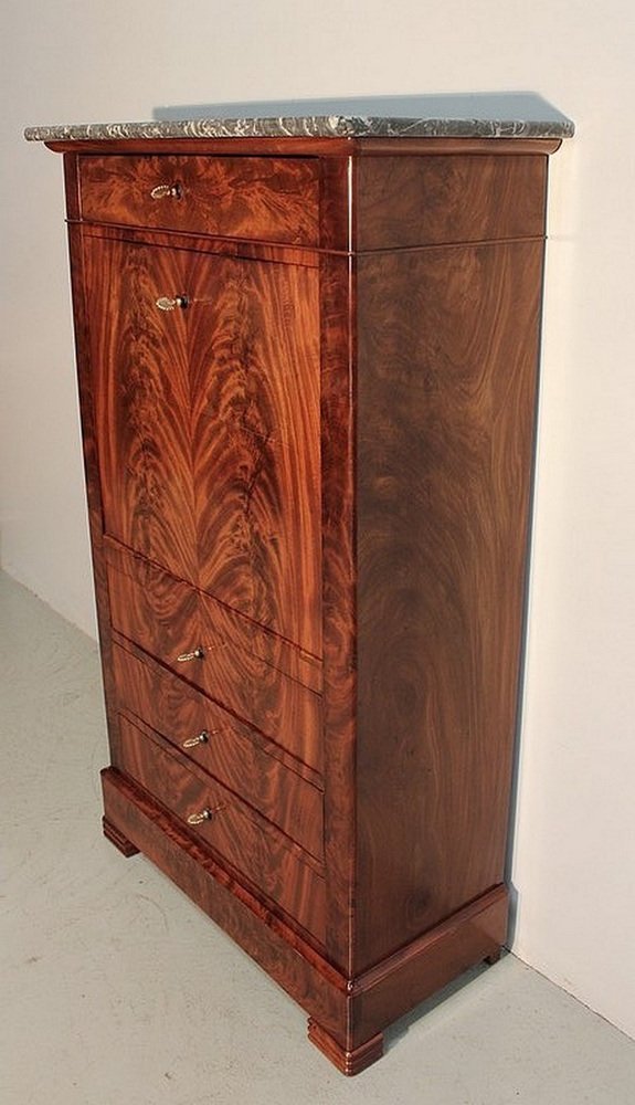 Small Early 19th Century Restoration Era Secretaire in Mahogany Burl Veneer