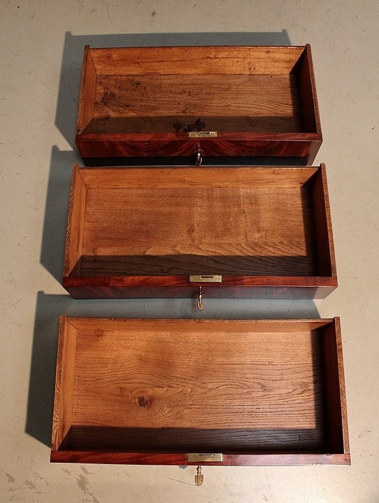 Small Early 19th Century Restoration Era Secretaire in Mahogany Burl Veneer