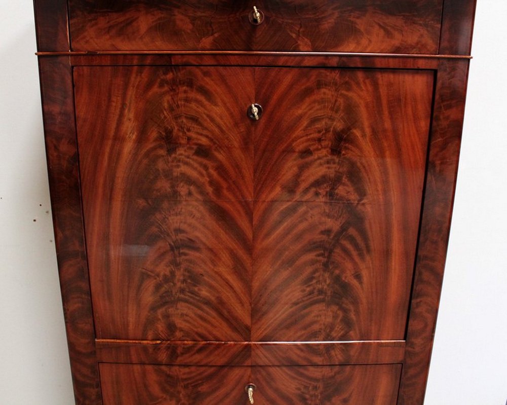 Small Early 19th Century Restoration Era Secretaire in Mahogany Burl Veneer