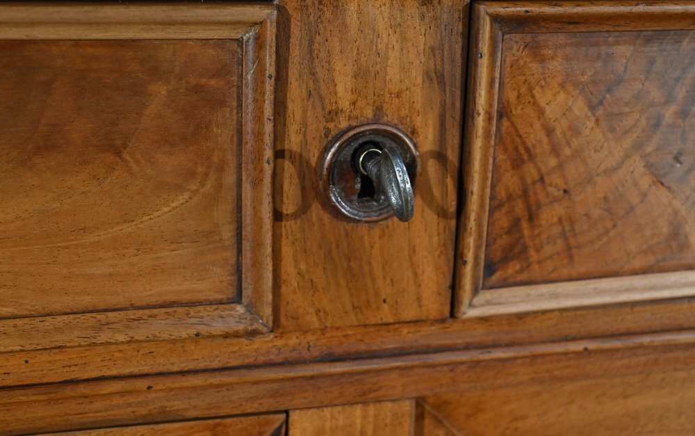 Small End of 19th Century 3-Door Row in Walnut