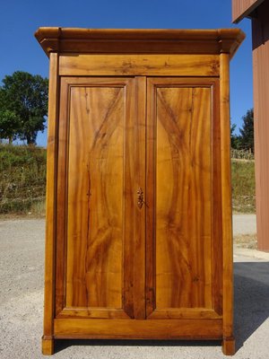 Small Louis Philippe Wardrobe in Elm-ABK-2035443