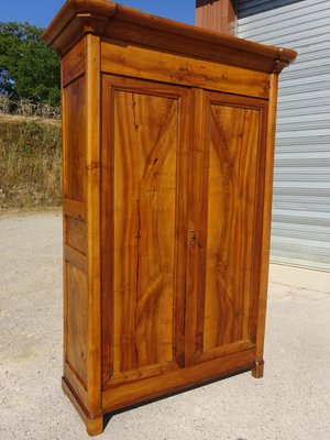 Small Louis Philippe Wardrobe in Elm-ABK-2035443