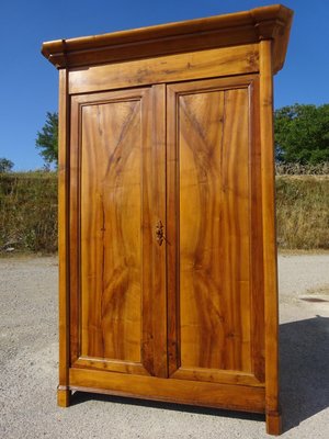 Small Louis Philippe Wardrobe in Elm-ABK-2035443