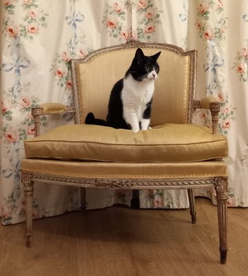 Small Louis XVI Bench in Yellow Fabric, 1780s-LXX-2017460