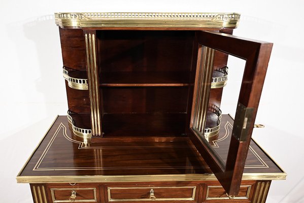 Small Louis XVI Mahogany Showcase-RVK-1787486