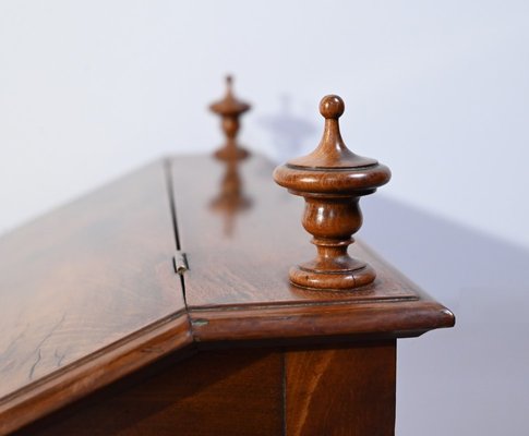 Small Mid 19th Century Louis Philippe Mahogany Desk-RVK-1719966