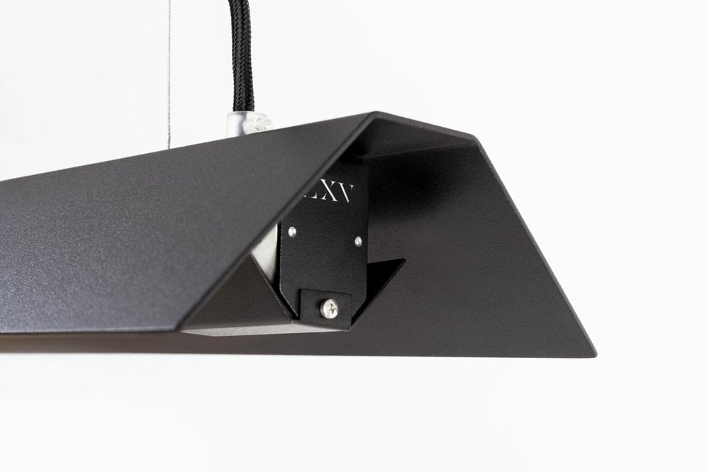 Small Misalliance Ral Jet Black Suspended Light by Lexavala