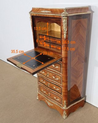 Small Napoleon III Mid 19th Century Secretary-RVK-1152488