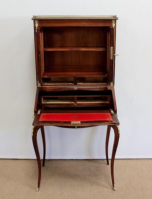 Small Napoleon III Secretaire with Showcase, Mid-19th Century-RVK-978472