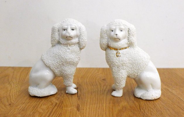 Small Staffordshire Poodle Dogs in Porcelain, Early 20th Century, Set of 2-RNR-2041886