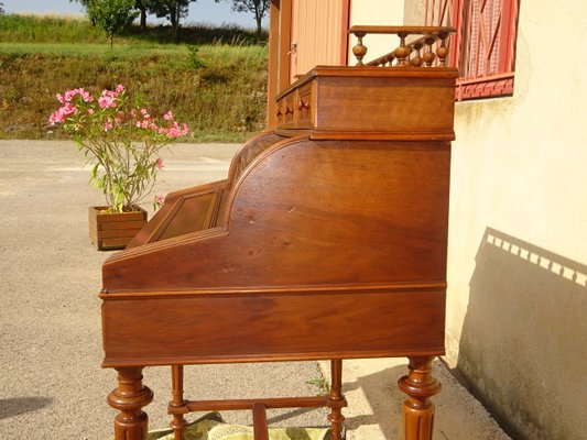 Small Vintage Desk in Walnut, 1950s-ABK-2026830