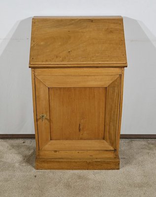 Small Walnut Cabinet, 19th Century-RVK-1762883