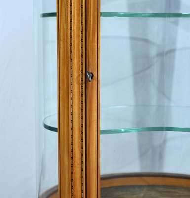 Small Yellow Mahogany Rognon Display Case, 1910s-RVK-1735248