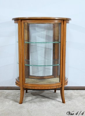 Small Yellow Mahogany Rognon Display Case, 1910s-RVK-1735248