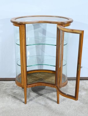 Small Yellow Mahogany Rognon Display Case, 1910s-RVK-1735248