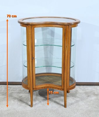 Small Yellow Mahogany Rognon Display Case, 1910s-RVK-1735248