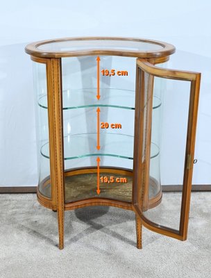 Small Yellow Mahogany Rognon Display Case, 1910s-RVK-1735248