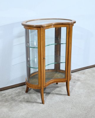 Small Yellow Mahogany Rognon Display Case, 1910s-RVK-1735248