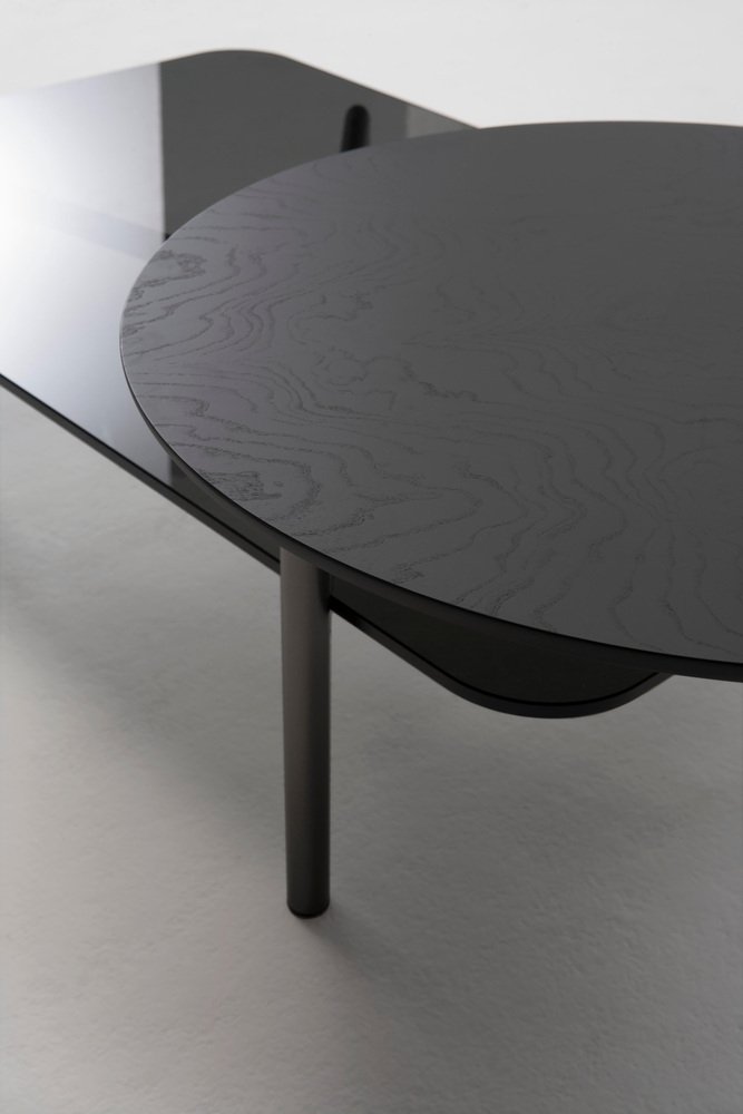 Smoked Glass Bitop Coffee Table by Rodolfo Dordoni