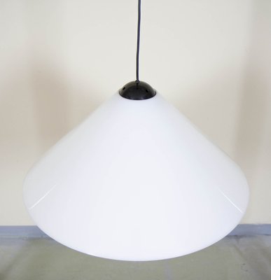 Snow Model Pendant Lamp by Vico Magistretti for Oluce, 1970s-VNC-2035504