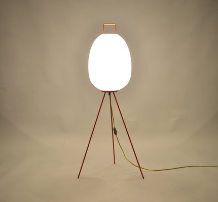 Space Age Egg Floor Lamp by Josef Hůrka for Napako, 1960s-VHD-1822993