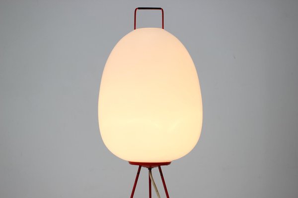 Space Age Floor Lamp Egg by Josef Hůrka, 1960s-TZ-1123937