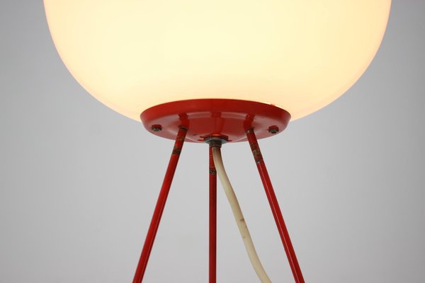 Space Age Floor Lamp Egg by Josef Hůrka, 1960s-TZ-1123937